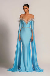 Baby Blue Evening Dress V-Neck with Long Sleeves Tulle Beadings