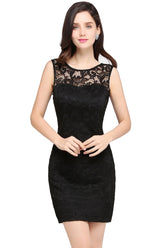 Black Scoop Neck Lace Bodycon Homecoming Dress