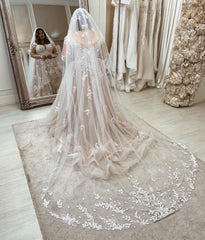 Blush V-Neck Tulle A-Line Wedding Dress with Lace Appliques and Long Sleeves Back View