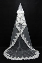 Beautiful Lace Applique Tulle Edge Wedding Veils-27dress