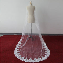 Beautiful Lace Applique Tulle Edge Wedding Veils-27dress