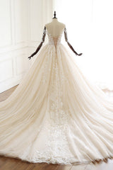 Chic V-Neck Strapless Champagne Tulle Wedding Dress Long Sleeves Appliques Bridal Gowns Online-27dress