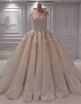 Elegant Chamgne Off-the-shoulder A-line Wedding Dresses Sequins Lace Bridal Gowns With Appliques Online-27dress