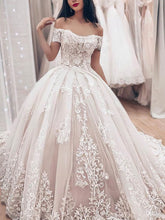 Elegant Off-the-shoulder Tulle Ball Gown Wedding Dress with Appliques Lace