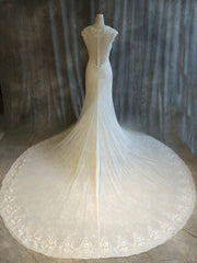 Elegant Trumpet/Mermaid V-neck Tulle Sweep Train Wedding Dress With Appliques Lace