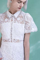27Dress Elegant White Lace Short Sleeves A-line Dresses
