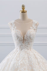 Exquisite Jewel Sleelveless Lace Wedding Dress Ball Gown appliques Bridal Gowns Online-27dress