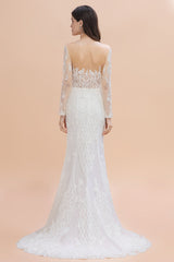 Gorgeous Jewel Tulle Lace Wedding Dress Long Sleeves Appliques Mermaid Bridal Gowns On Sale-27dress