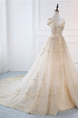 Gorgeous V-Neck Sleeveless Tulle Wedding Dress Champagne Appliques Bridal Gowns Online-27dress