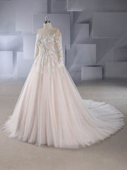 Lace Appliques Ball Gown Wedding Dress with Illusion Tulle Court Train