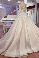 Lace Wedding Dress Princess V-Neck Sleeveless With Appliques-27dress
