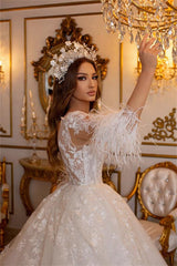 Long Sleeves Princess Wedding Dress Ball Gown With Lace Feather-27dress