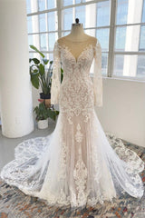 Long Sleeves Wedding Dress Mermaid Tulle Lace Appliques-27dress