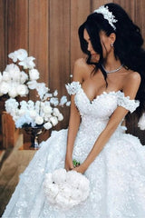 Luxury Long Ball Gown Off The Shoulder Appliques Lace Wedding Dresses-27Dress