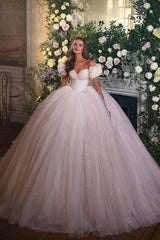 Off-the-Shoulder Ball Gown Tulle Wedding Dress Shinning Sequins-27dress