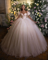 Off-the-Shoulder Ball Gown Tulle Wedding Dress Shinning Sequins-27dress