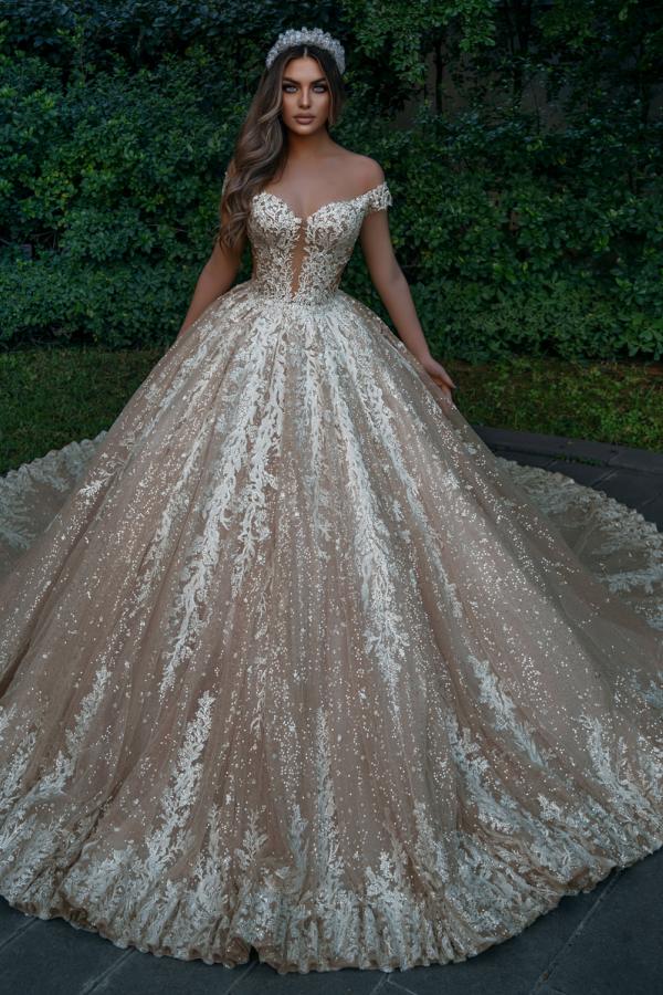 Off-the-Shoulder Champagne Wedding Dress Ball Gown With Appliques-27dress