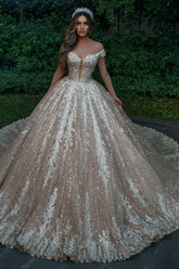 Off-the-Shoulder Champagne Wedding Dress Ball Gown With Appliques-27dress
