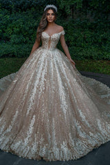 Off-the-Shoulder Champagne Wedding Dress Ball Gown With Appliques-27dress