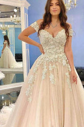 Off-the-Shoulder Princess Wedding Dress Champagne With Lace Appliques-27dress