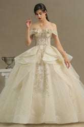 Off-the-Shoulder Princess Wedding Dress With Lace Appliques-27dress