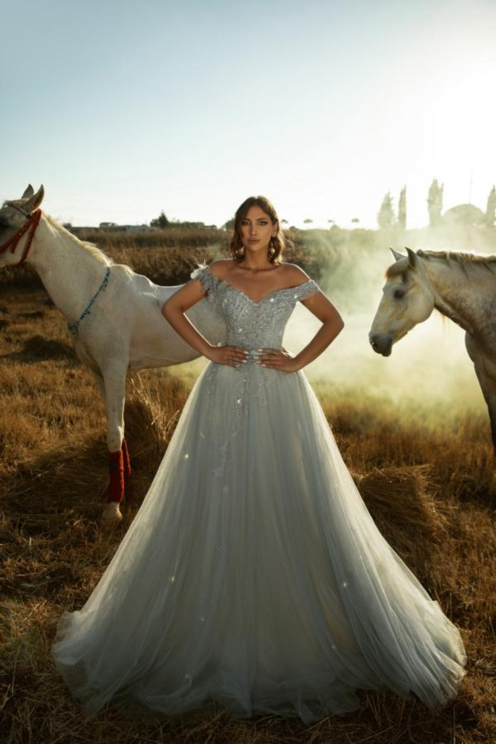 Shining Off-the-Shoulder A-line Tulle Wedding Dress -27dress