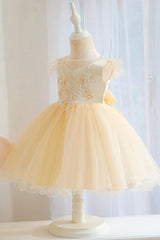 Short Ball Gown Appliques Lace Pleated Tulle Flower Girl Dresses-27dress