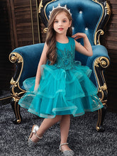 Short Ball Gown Tulle Sleeveless Jewel Neck Wedding Party Flower Girl Dresses-27dress