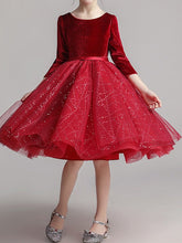 Short Princess Tulle Pageant Flower Girl Dresses with Sleeves-27dress