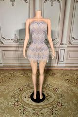 Tulle Strapless Sheath Mini Homecoming Dress with Tassel-27dress