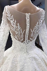 Long Sleeves V-Neck Ball Gown Wedding Dress with Lace Applique