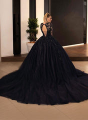 Black Deep V-Neck Tulle Ball Gown Chapel Train Wedding Dress with Lace Appliques and Long Sleeves Back View