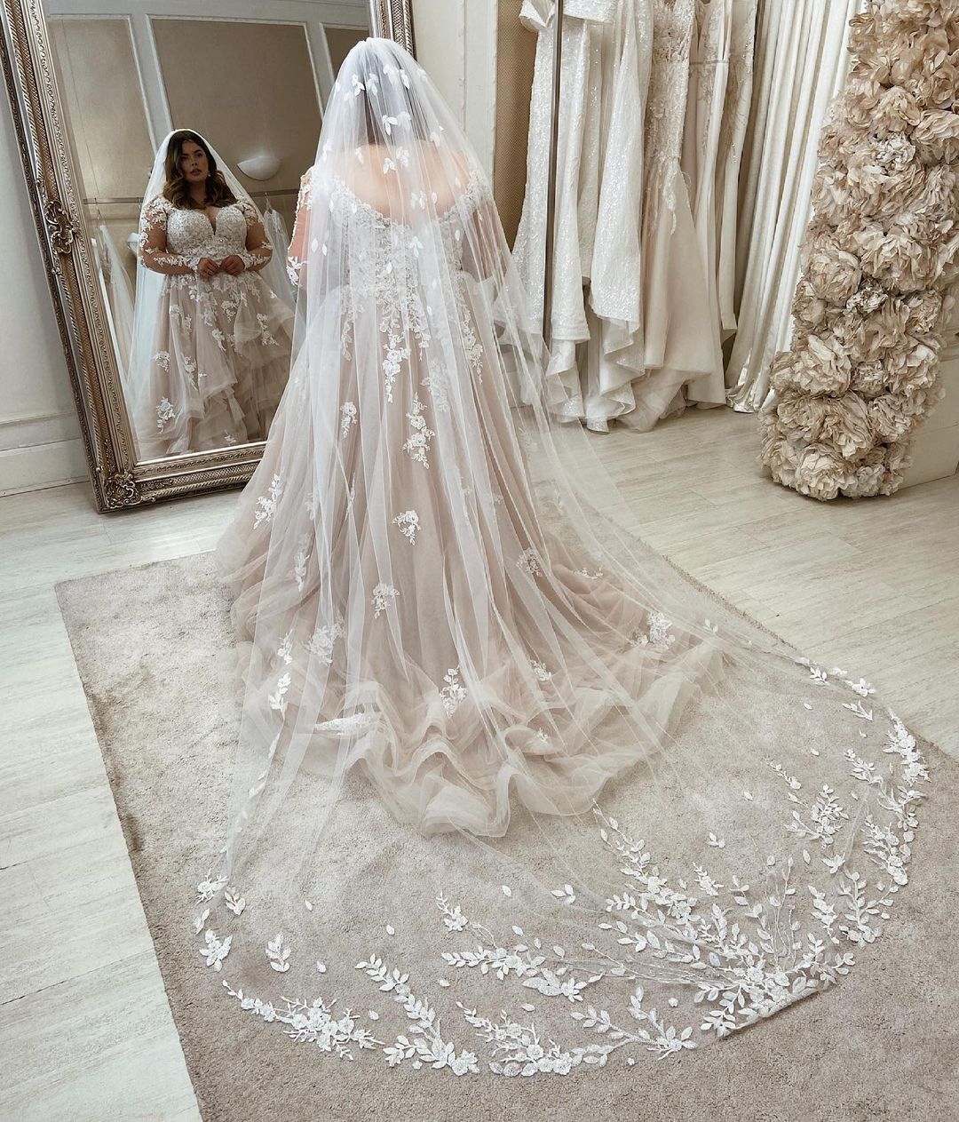 Blush V-Neck Tulle A-Line Wedding Dress with Lace Appliques and Long Sleeves Back View