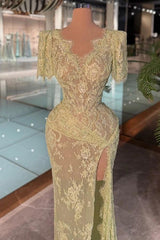 27Dress Elegant Short Sleeves Lace Mermaid Evening Dress V-neck with Split