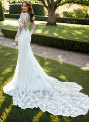 Elegant Long Sleeves Mermaid V-neck Lace Tulle Wedding Dresses-27dress