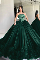 Gorgeous Strapless Ball Gown Prom Dress Sleeveless With Appliques Black