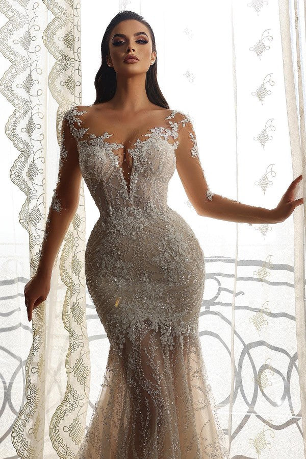 Long Sleeves Bridal Gown Mermaid With Delicate Lace-27dress
