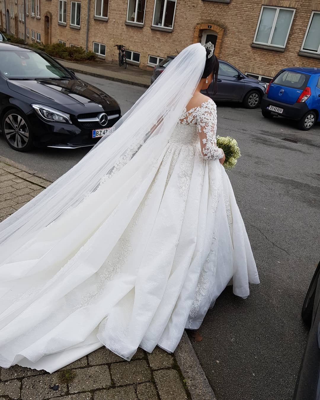 Plus Size A-Line Long Sleeves Lace Applique Wedding Dress with Cathedral Train-27dress