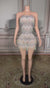 Tulle Strapless Sheath Mini Homecoming Dress with Tassel-27dress